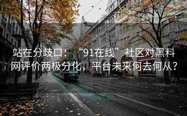 站在分歧口：“91在线”社区对黑料网评价两极分化，平台未来何去何从？